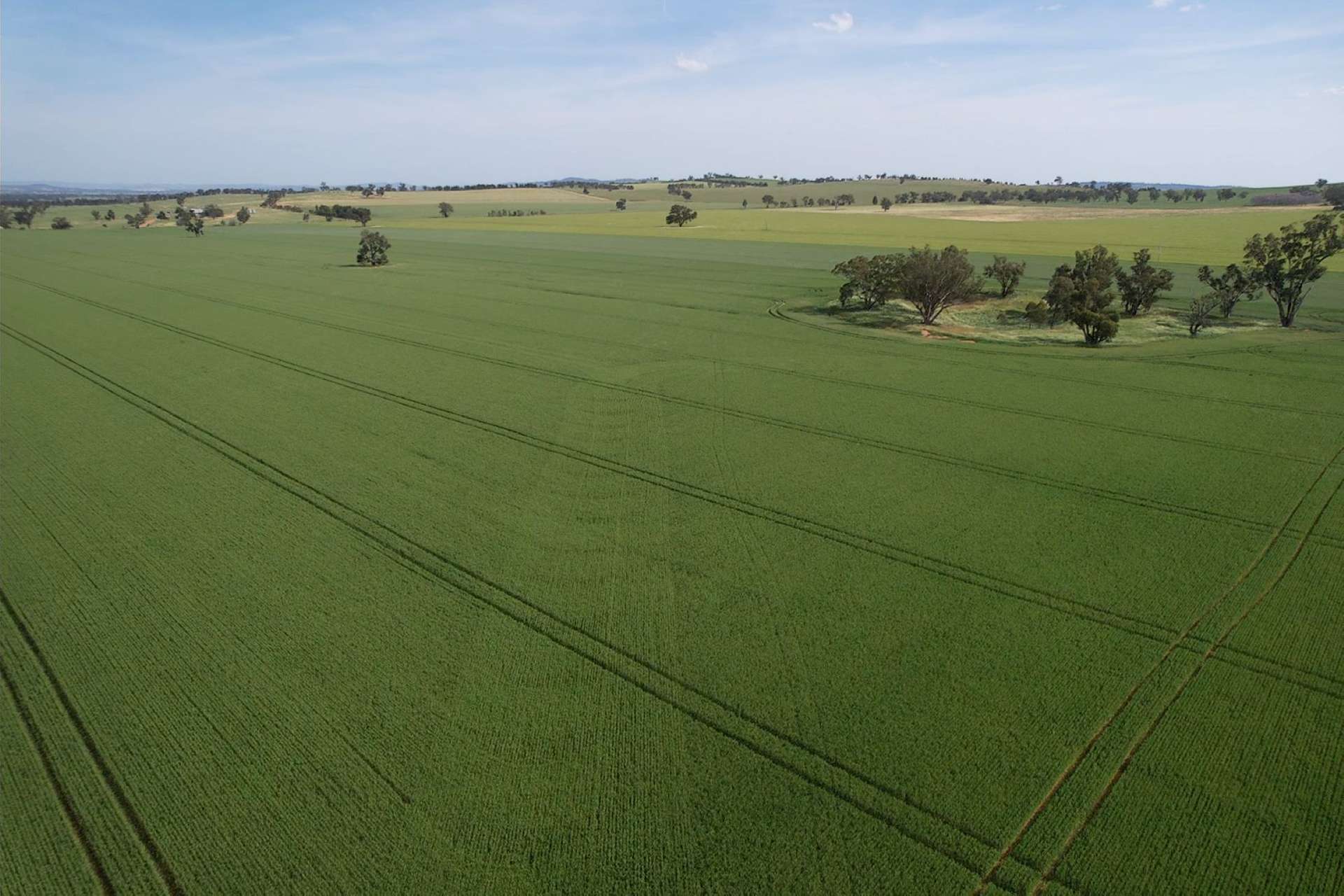 0 Marrar South Road, Yathella For Sale by Farmbuy.com - image 6