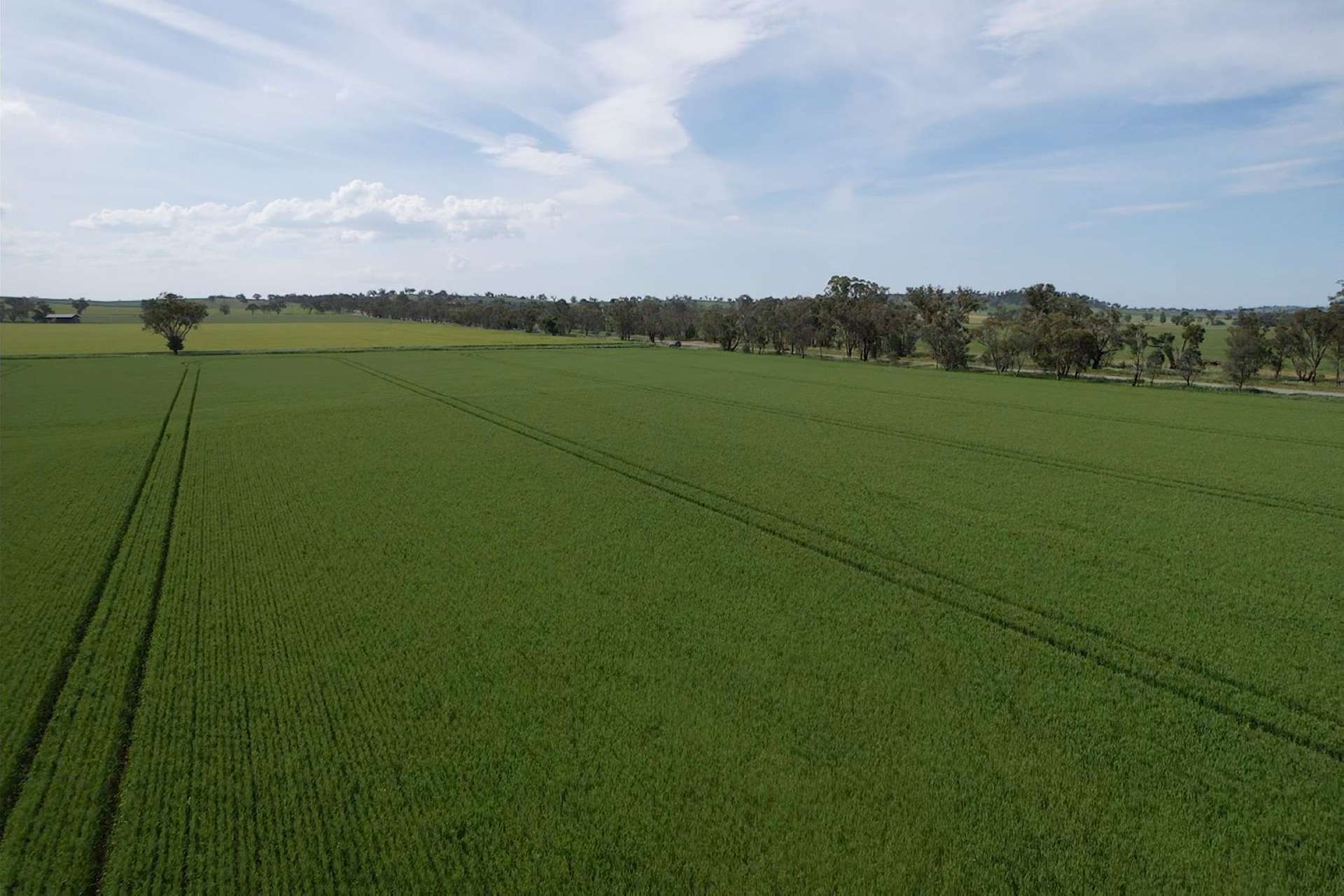 0 Marrar South Road, Yathella For Sale by Farmbuy.com - image 4