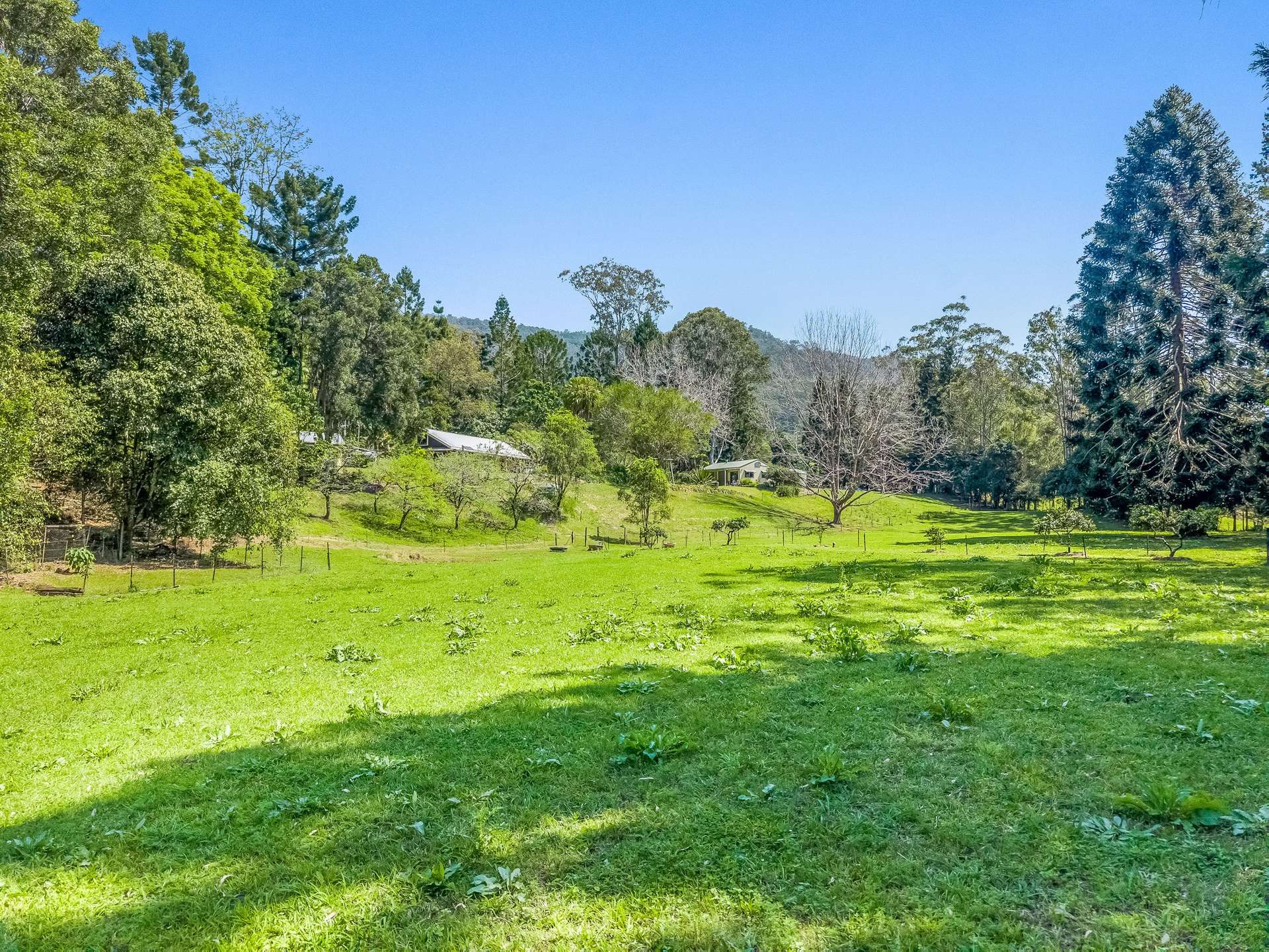 698 CAWONGLA ROAD, Larnook For Sale by Farmbuy.com - image 29