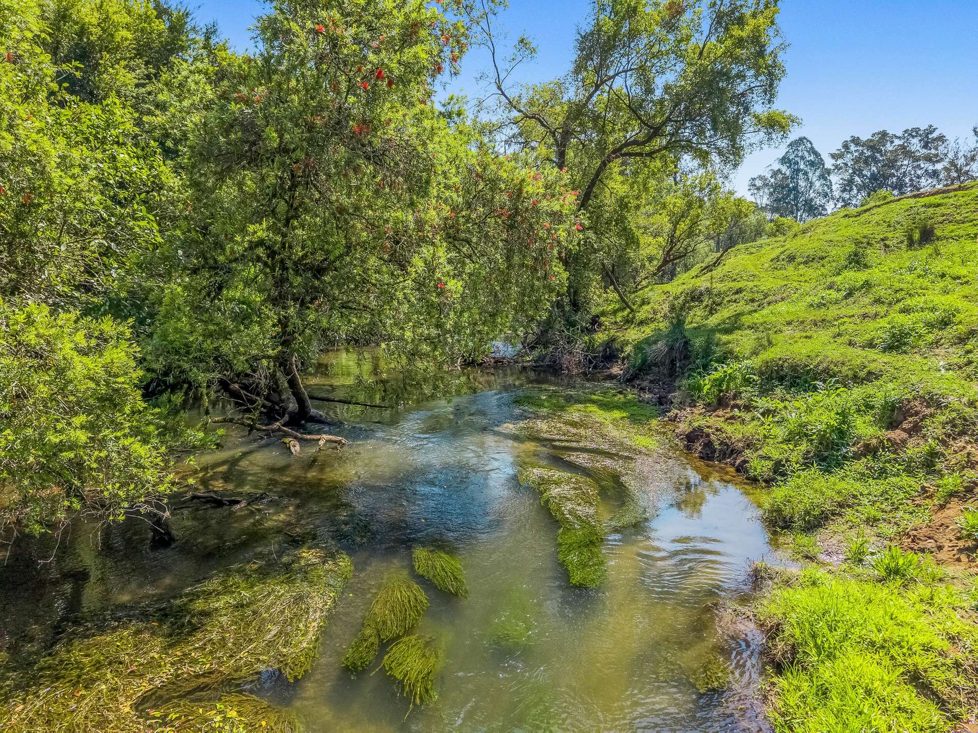 698 CAWONGLA ROAD, Larnook For Sale by Farmbuy.com - image 30