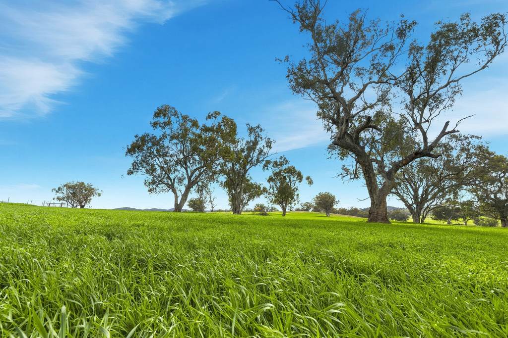 9091 Mitchell Highway, Wellington NSW 2820