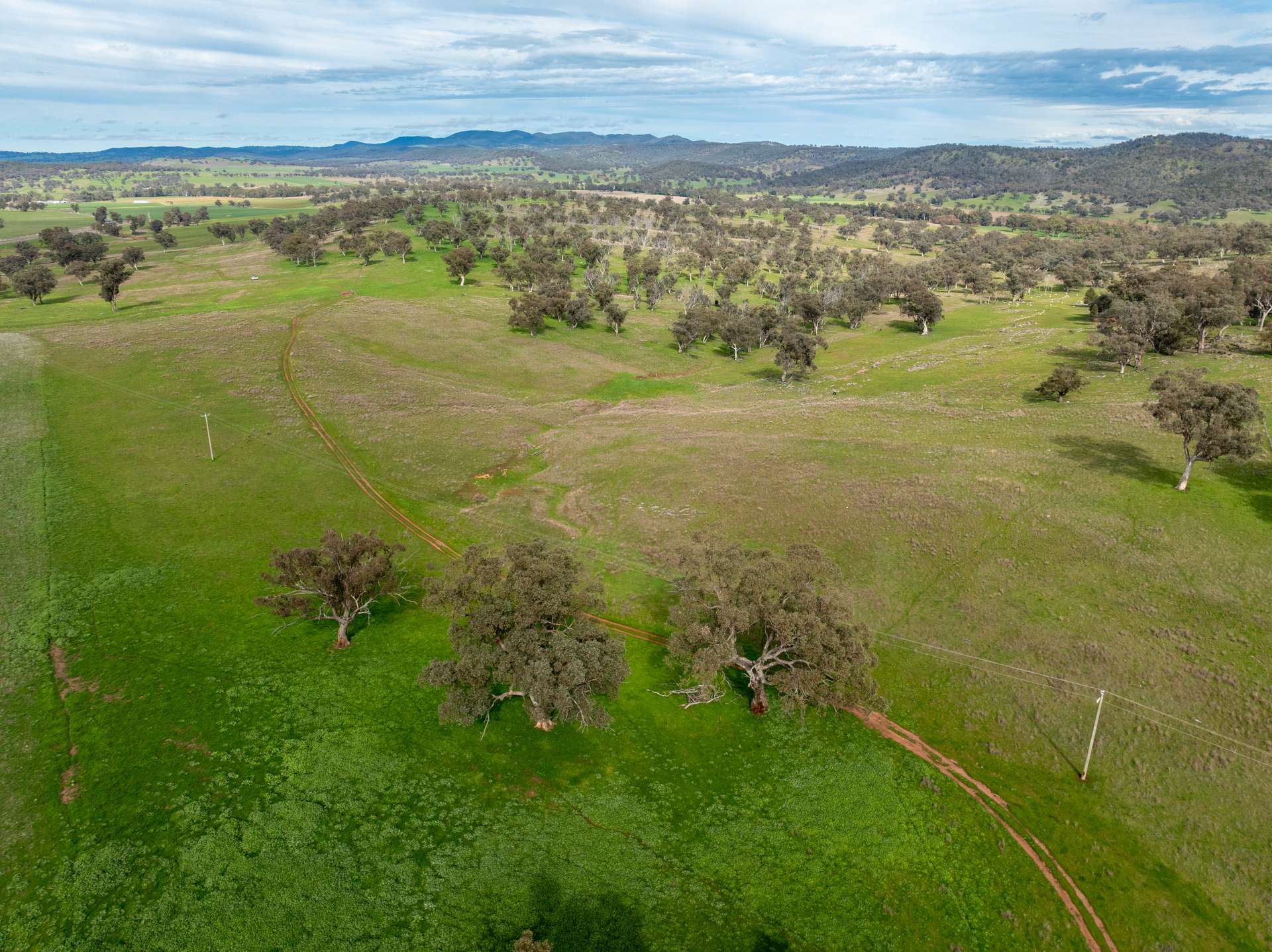 9091 Mitchell Highway, Wellington Auction by Farmbuy.com - image 28