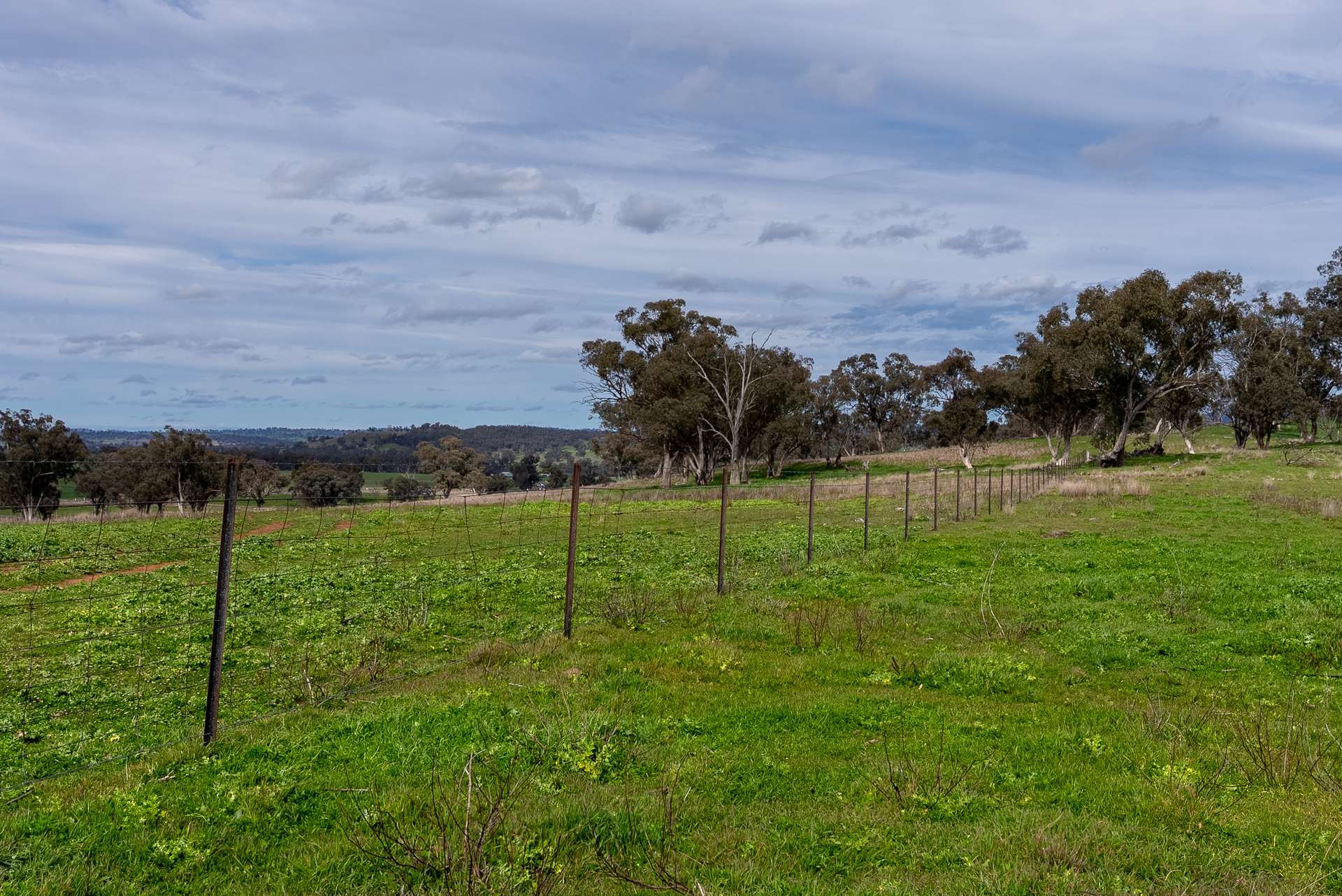 9091 Mitchell Highway, Wellington Auction by Farmbuy.com - image 8