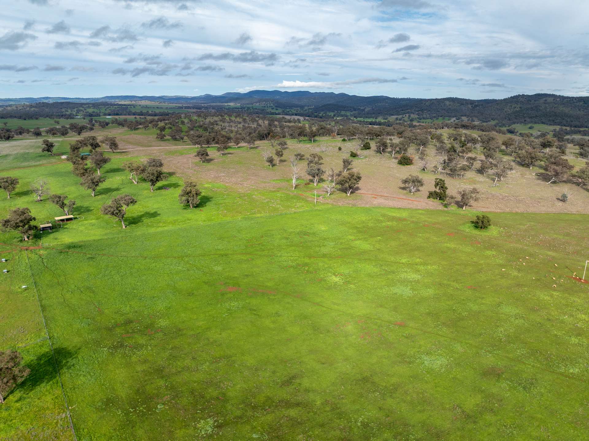 9091 Mitchell Highway, Wellington Auction by Farmbuy.com - image 25