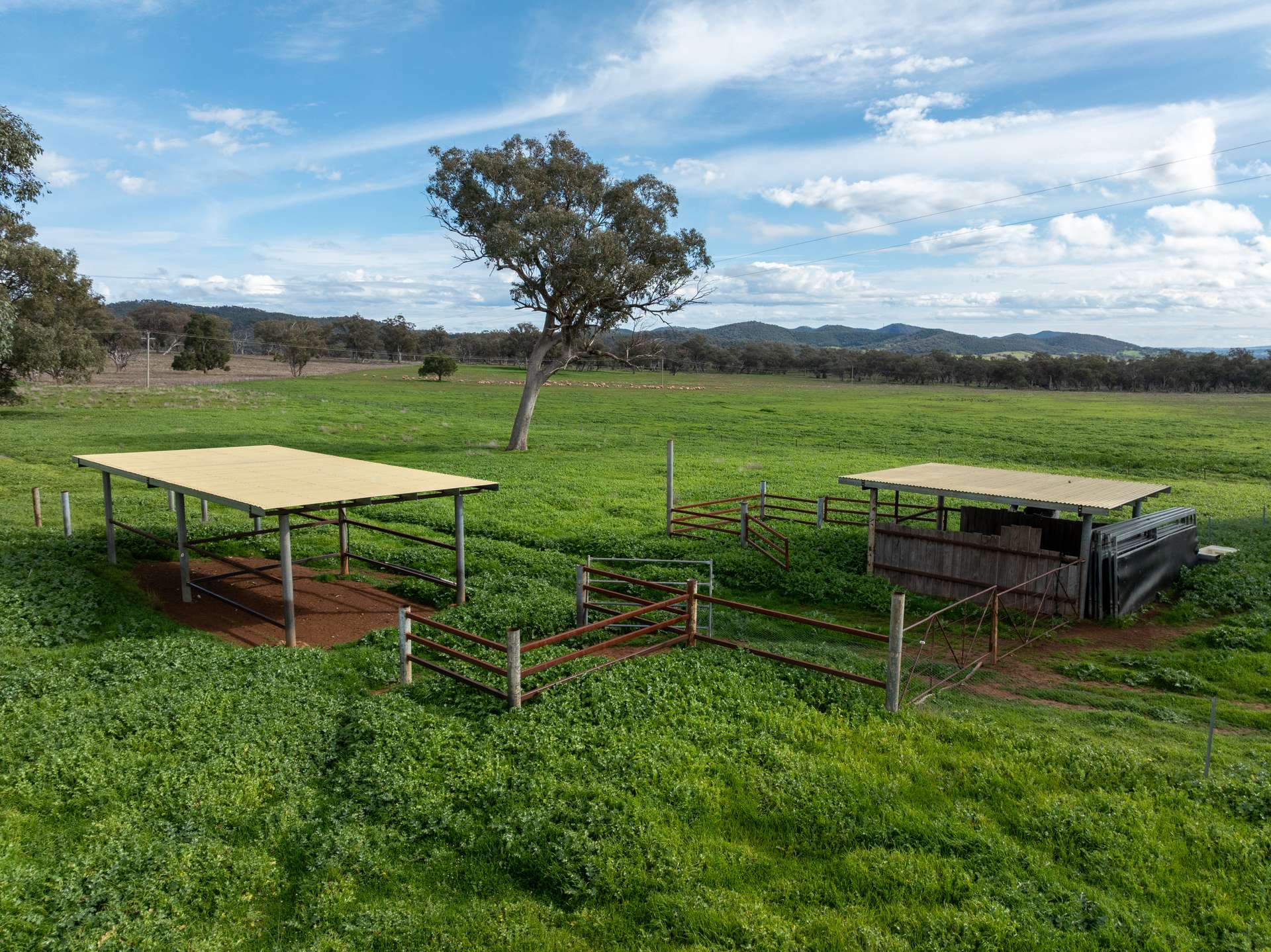 9091 Mitchell Highway, Wellington Auction by Farmbuy.com - image 11