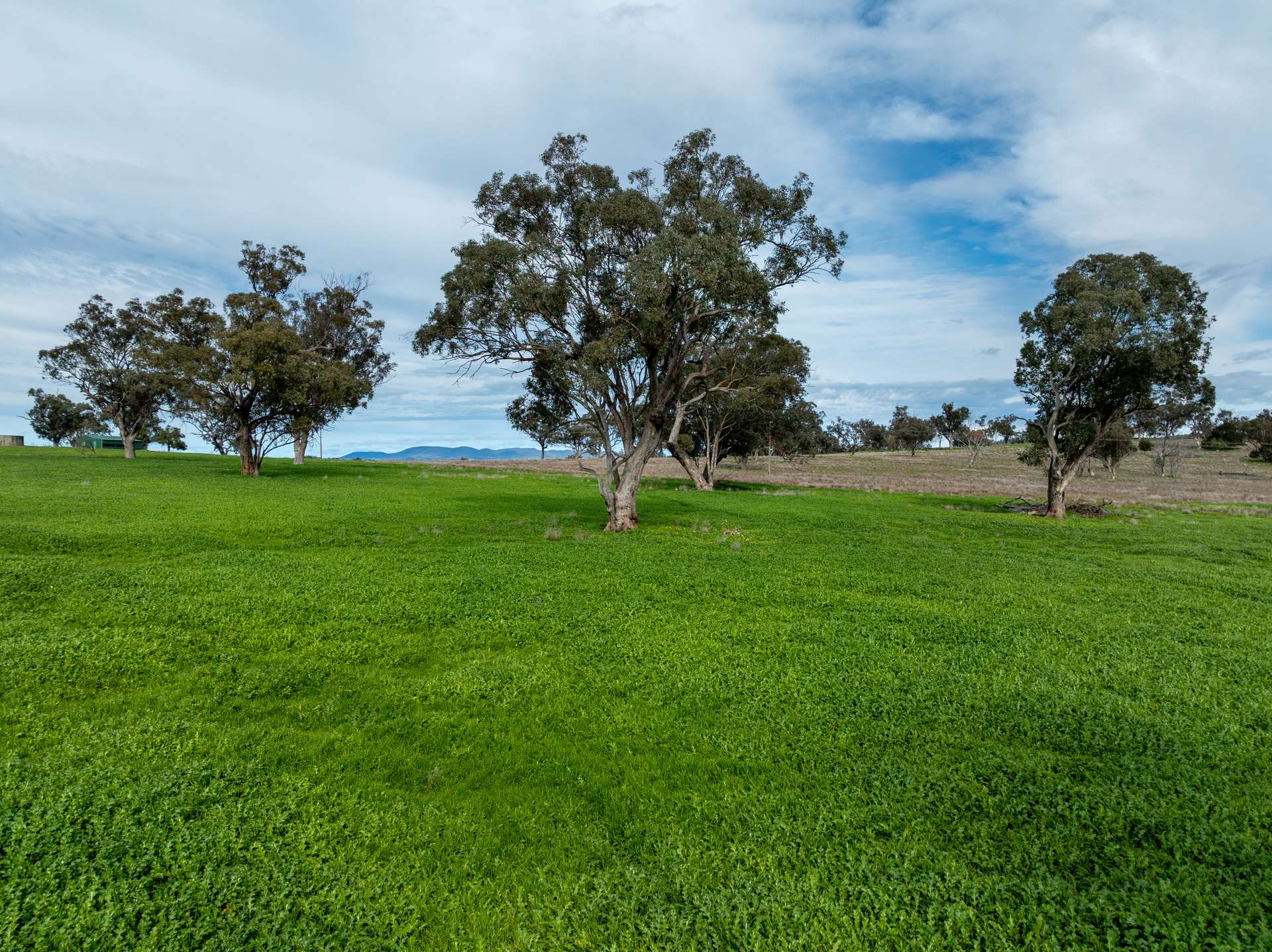 9091 Mitchell Highway, Wellington Auction by Farmbuy.com - image 21