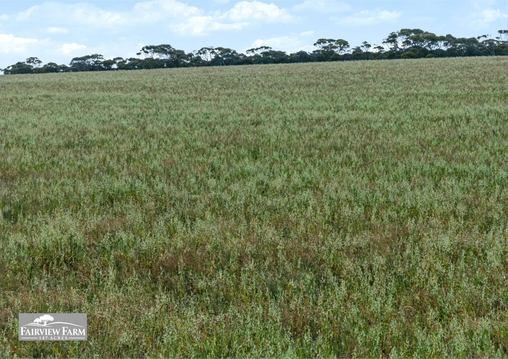 5/1607 Chauncey Line Road, Monarto South For Sale by Farmbuy.com - image 11