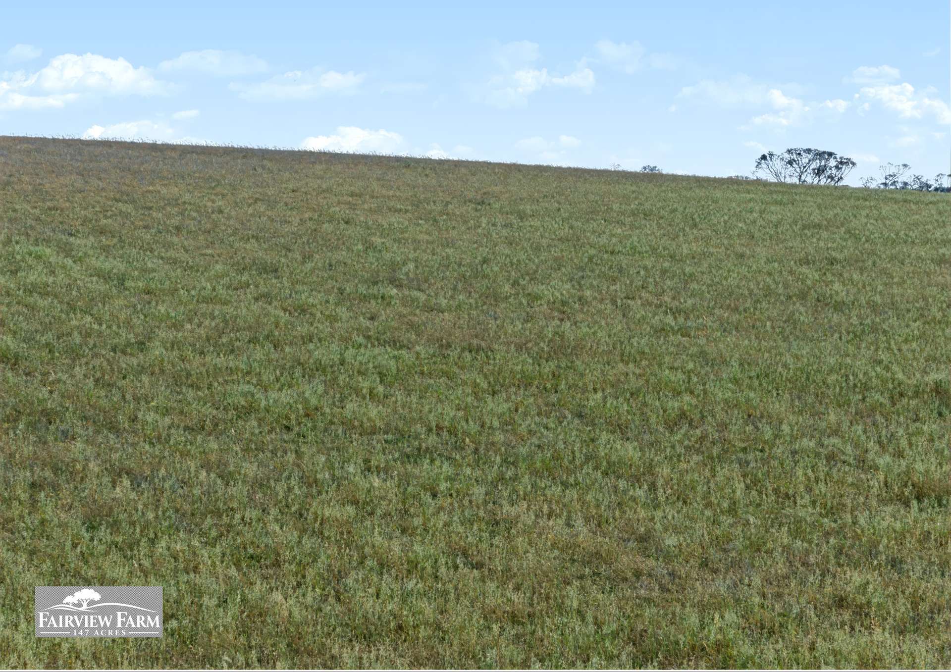 5/1607 Chauncey Line Road, Monarto South For Sale by Farmbuy.com - image 12