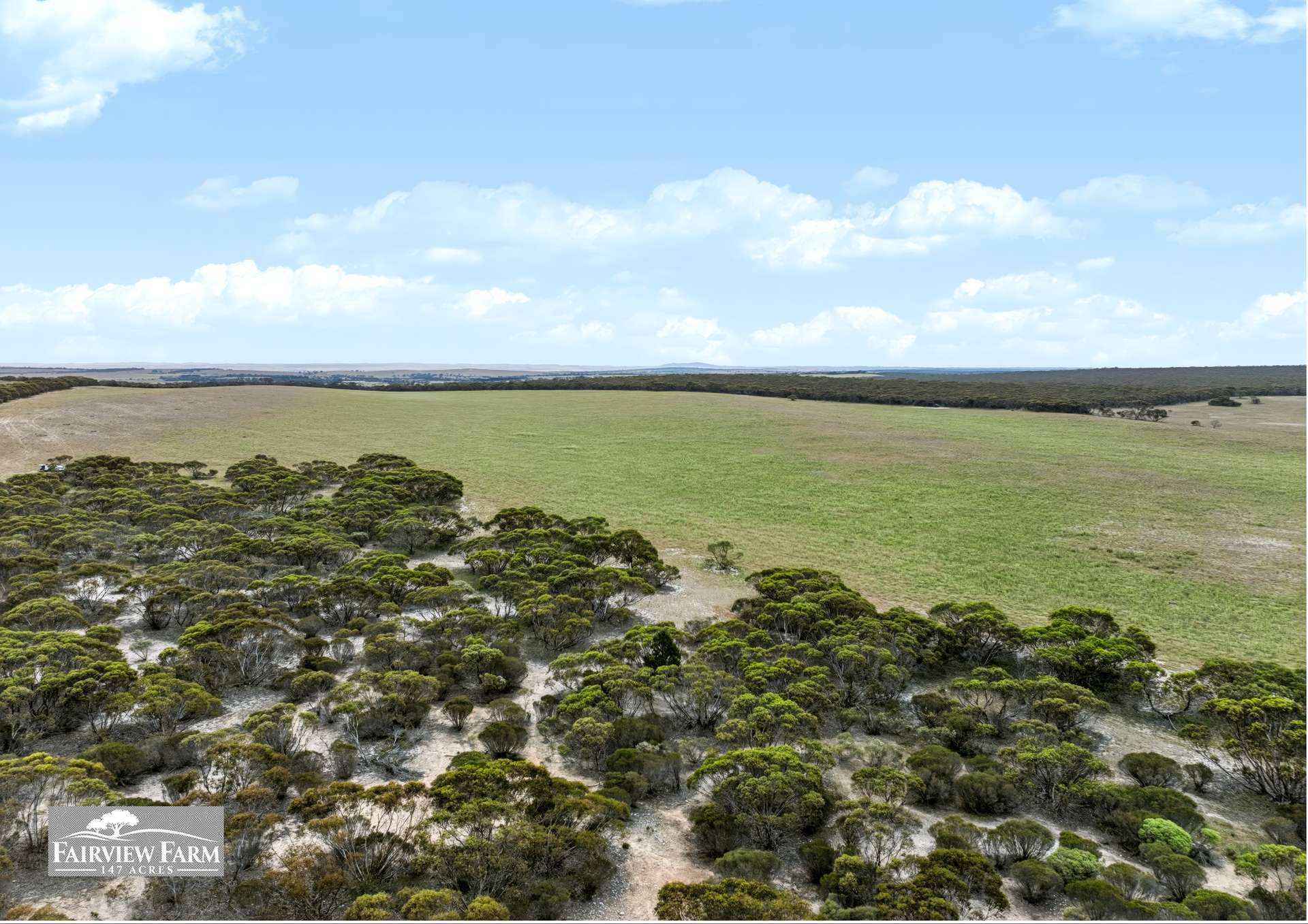 5/1607 Chauncey Line Road, Monarto South For Sale by Farmbuy.com - image 21