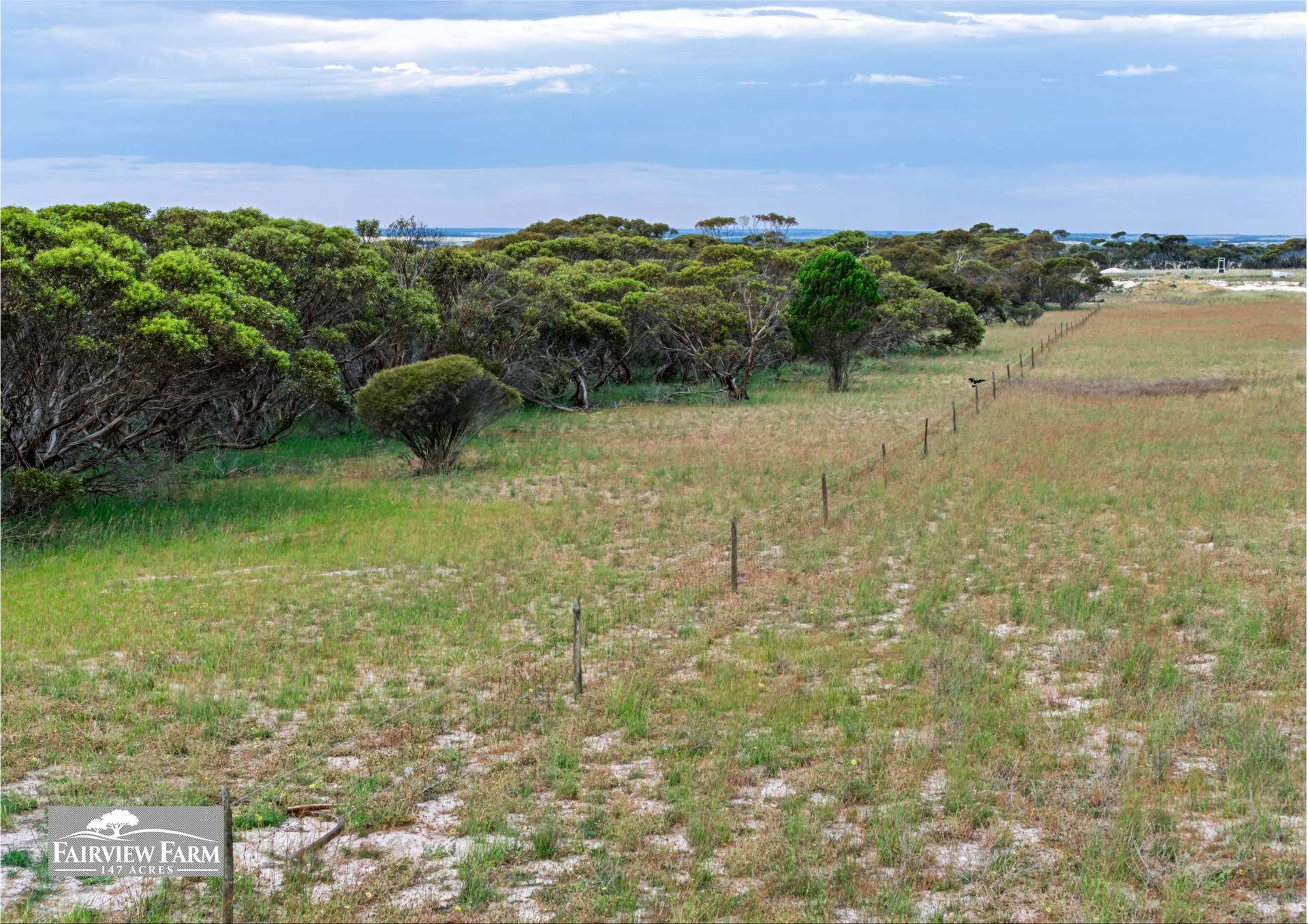 5/1607 Chauncey Line Road, Monarto South For Sale by Farmbuy.com - image 16