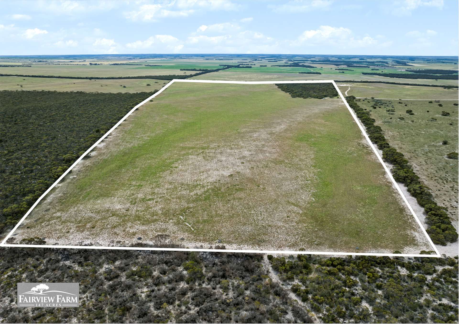 5/1607 Chauncey Line Road, Monarto South For Sale by Farmbuy.com - image 6