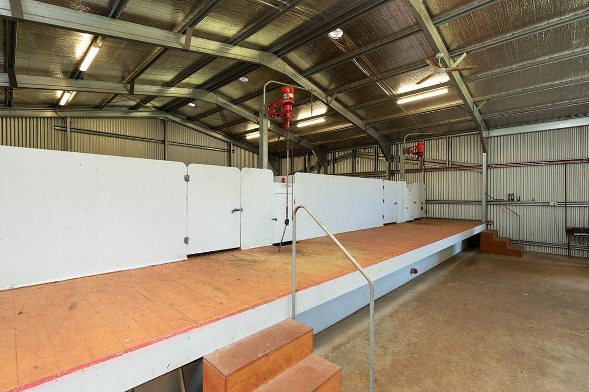 'Nella Park' 135 Hartwicks Road, Hamilton For Sale by Farmbuy.com - image 30