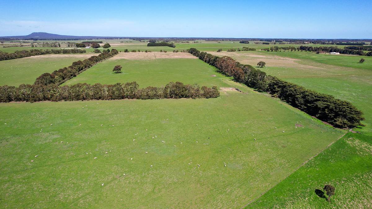'Nella Park' 135 Hartwicks Road, Hamilton For Sale by Farmbuy.com - image 24