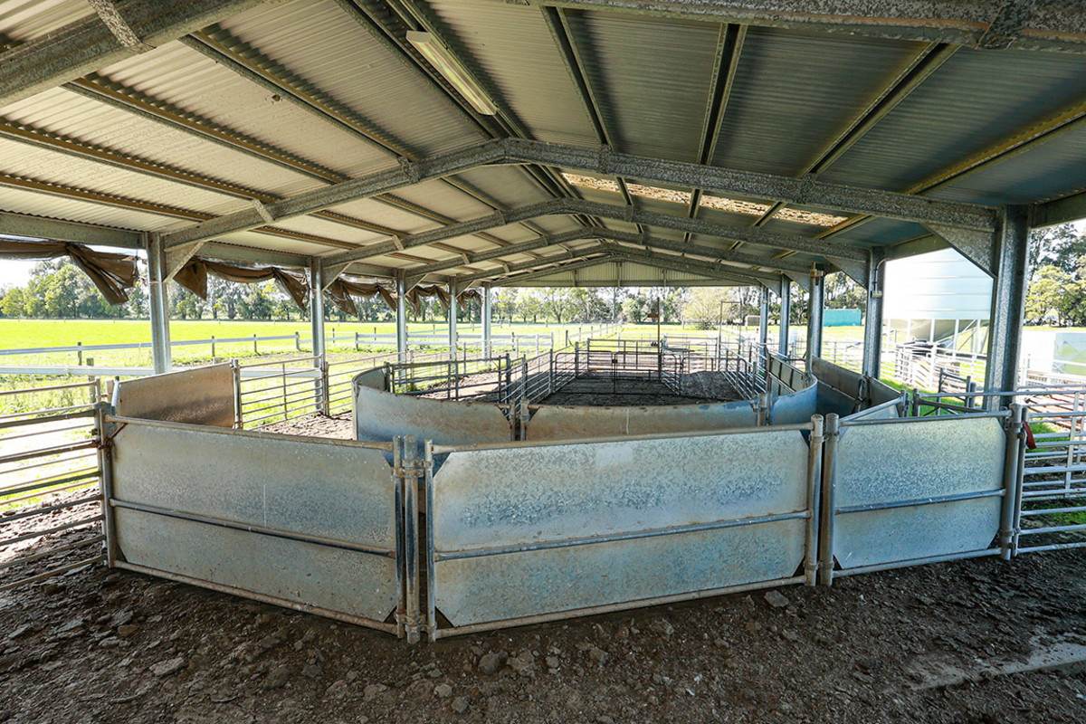 'Nella Park' 135 Hartwicks Road, Hamilton For Sale by Farmbuy.com - image 32