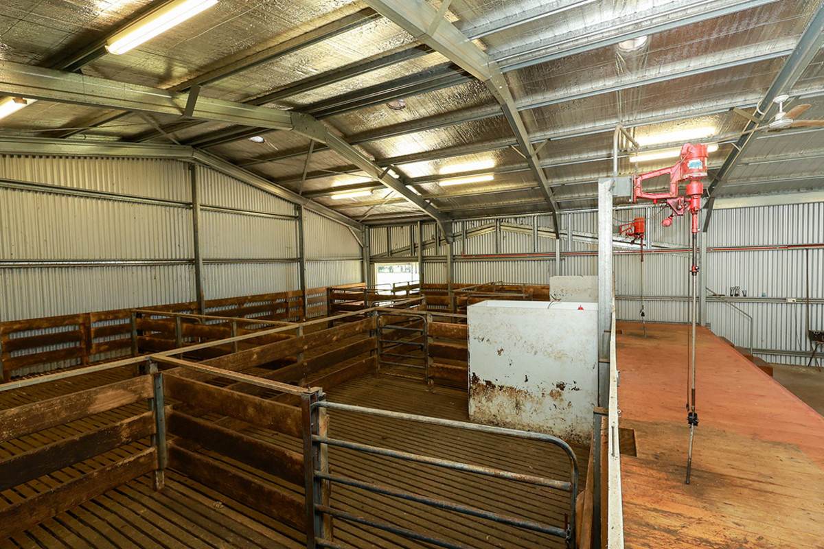 'Nella Park' 135 Hartwicks Road, Hamilton For Sale by Farmbuy.com - image 31