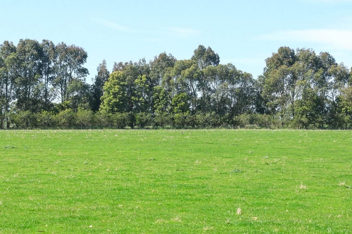 'Nella Park' 135 Hartwicks Road, Hamilton For Sale by Farmbuy.com - image 25