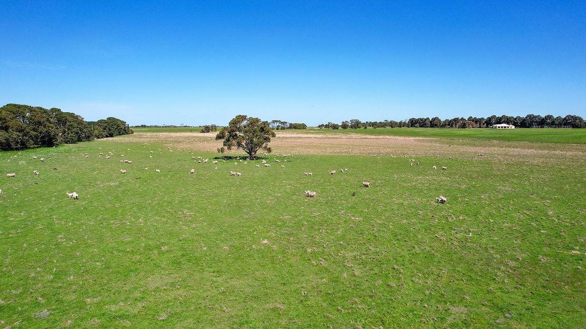 'Nella Park' 135 Hartwicks Road, Hamilton For Sale by Farmbuy.com - image 26