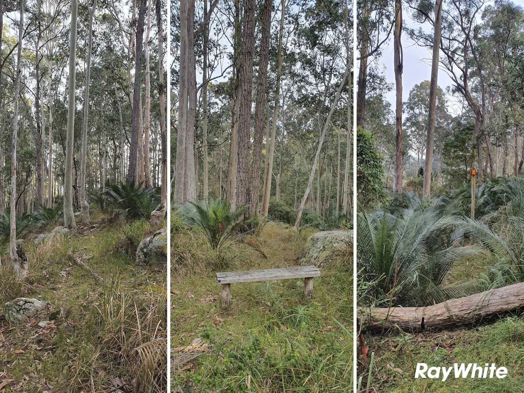 1686 Maulbrooks Road, Mogendoura For Sale by Farmbuy.com - image 20