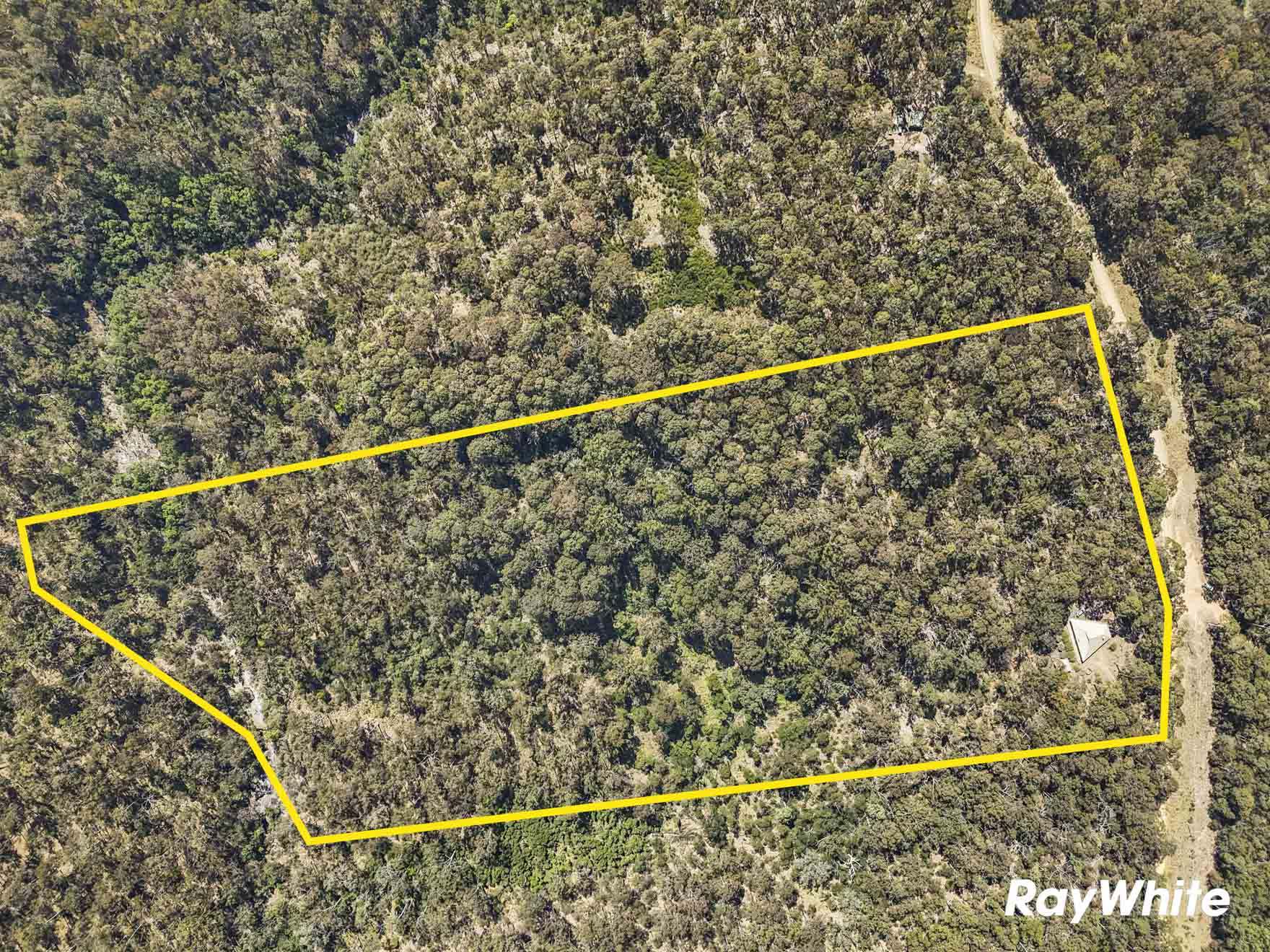 1686 Maulbrooks Road, Mogendoura For Sale by Farmbuy.com - image 11
