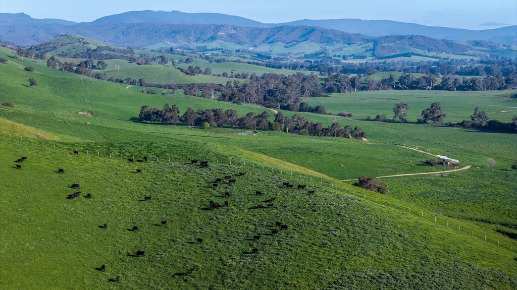171 Nashs Road, Murrindindi VIC 3717