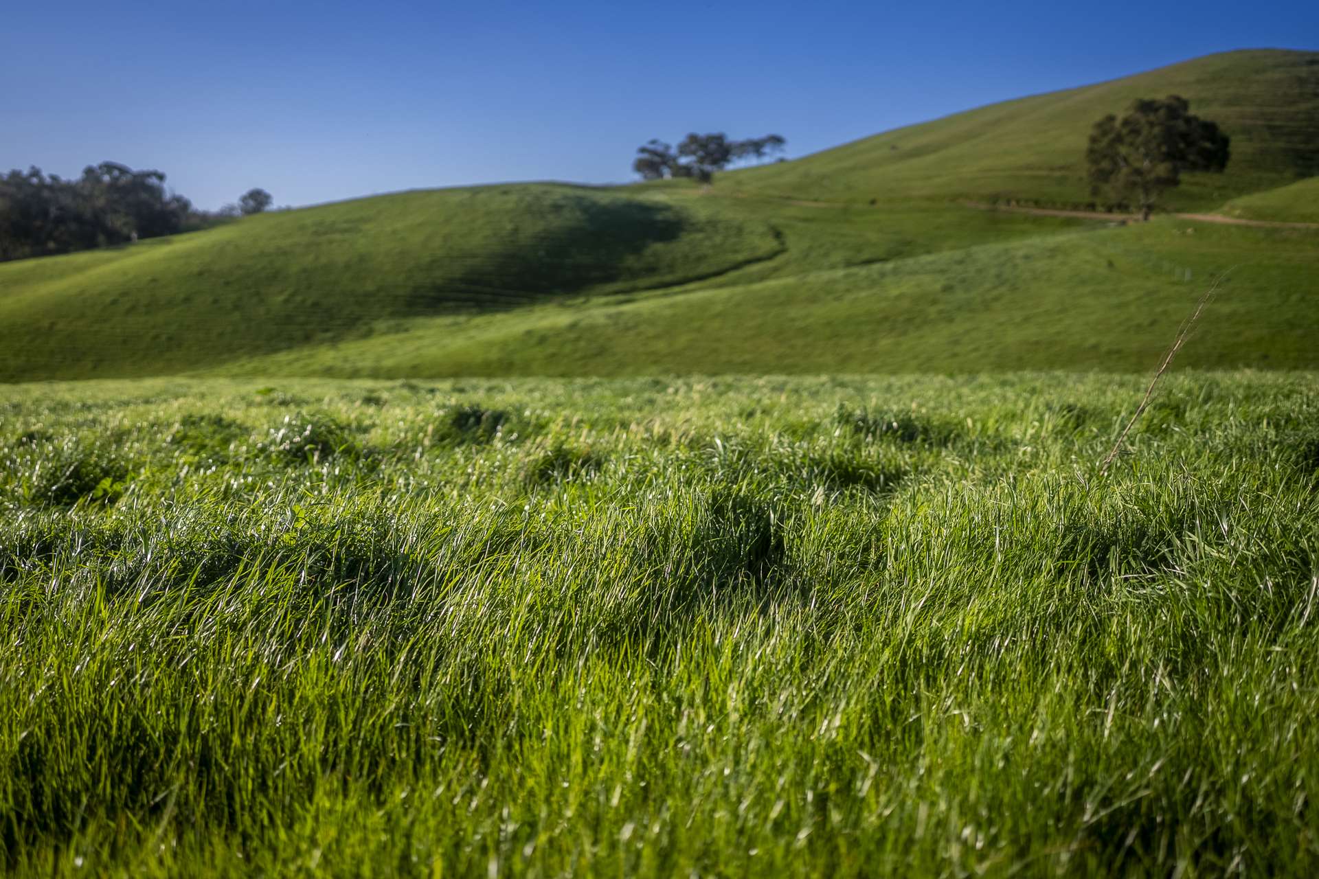 171 Nashs Road, Murrindindi For Sale by Farmbuy.com - image 24