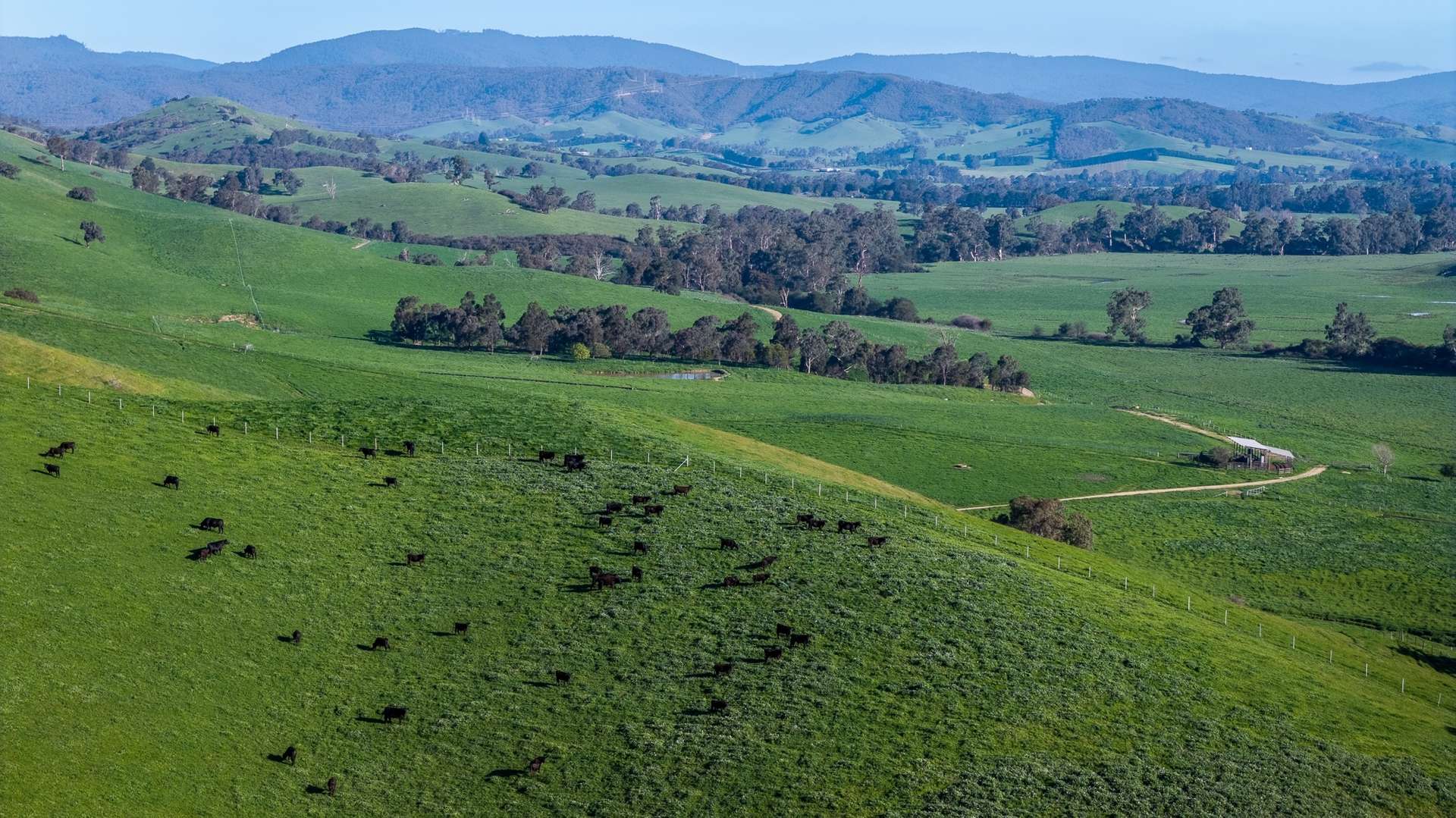 171 Nashs Road, Murrindindi For Sale by Farmbuy.com - image 1