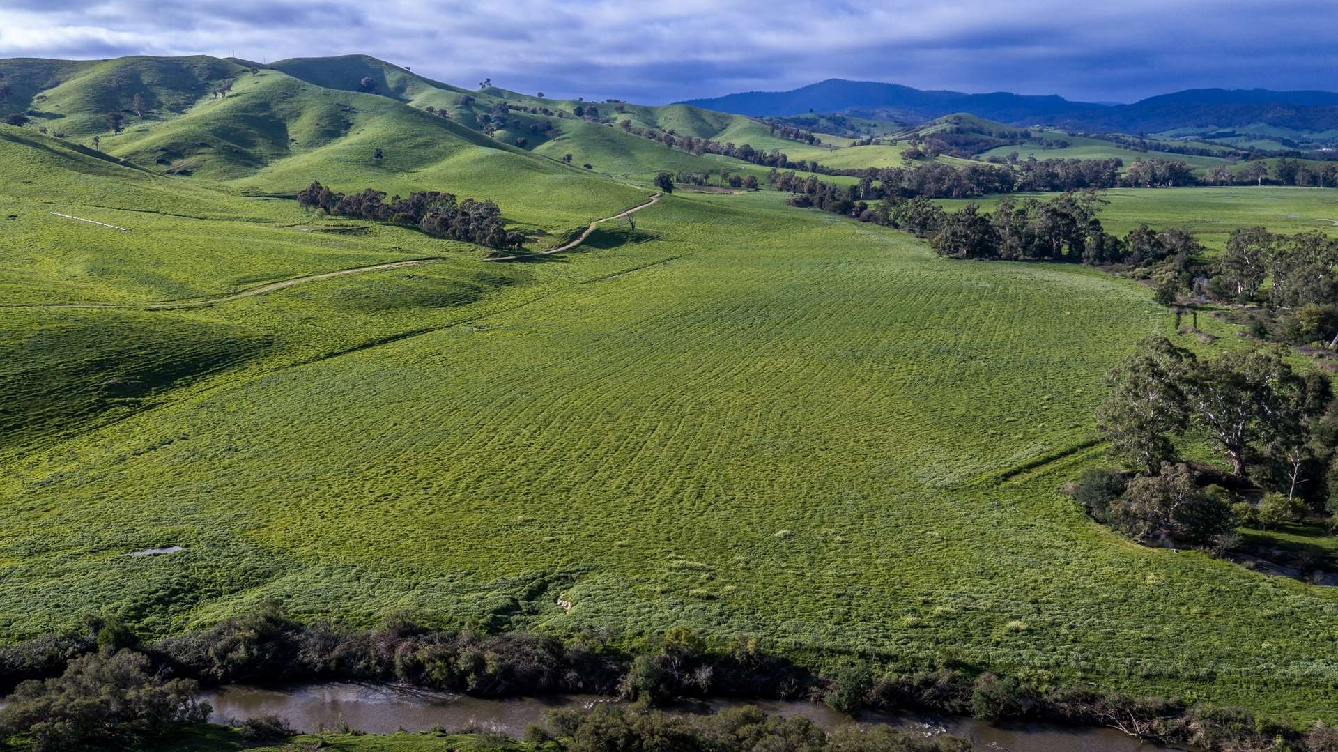 171 Nashs Road, Murrindindi For Sale by Farmbuy.com - image 5