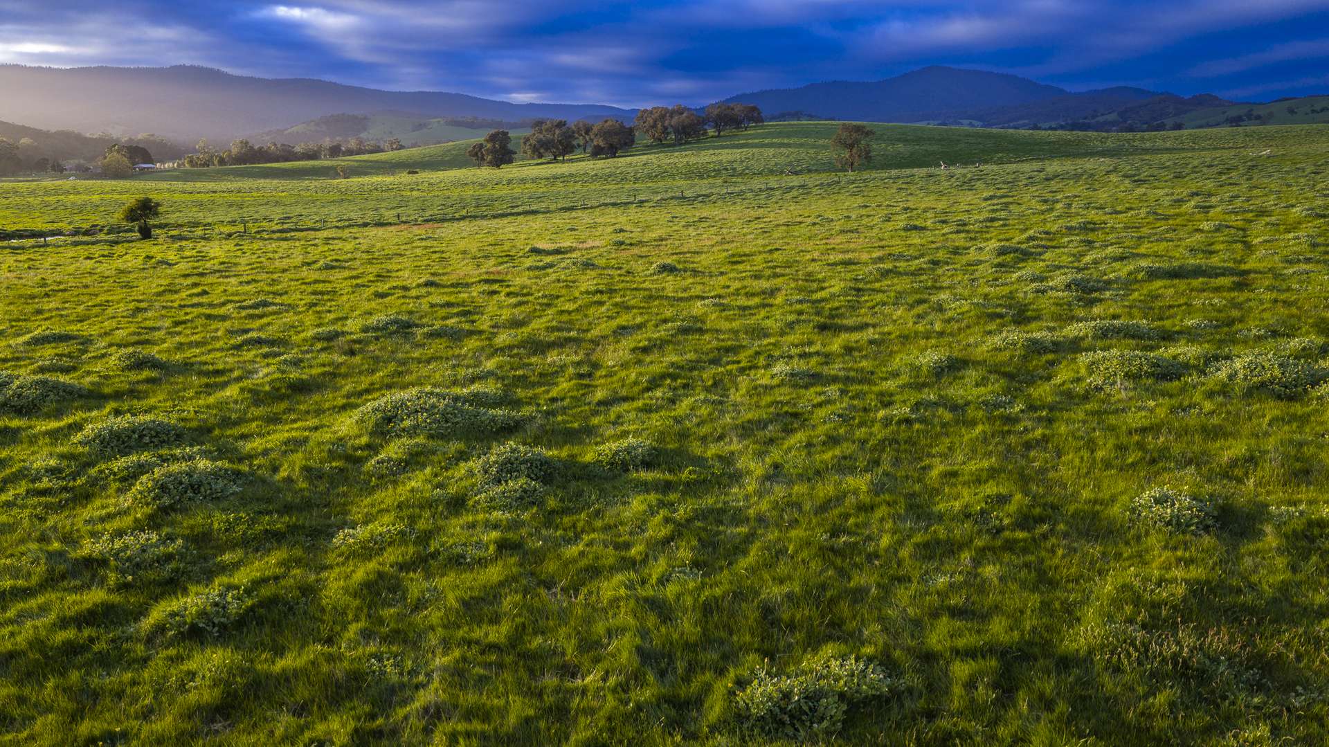 171 Nashs Road, Murrindindi For Sale by Farmbuy.com - image 29