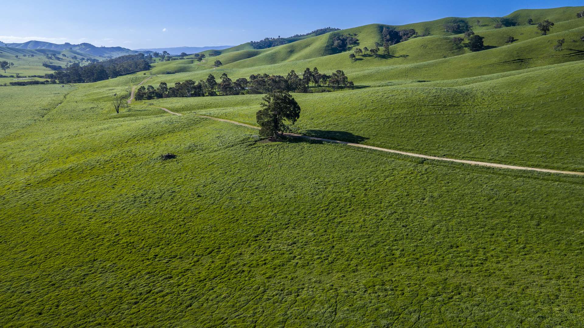 171 Nashs Road, Murrindindi For Sale by Farmbuy.com - image 32