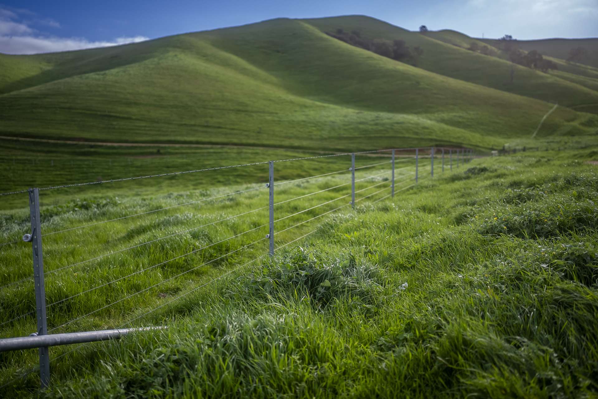 171 Nashs Road, Murrindindi For Sale by Farmbuy.com - image 30