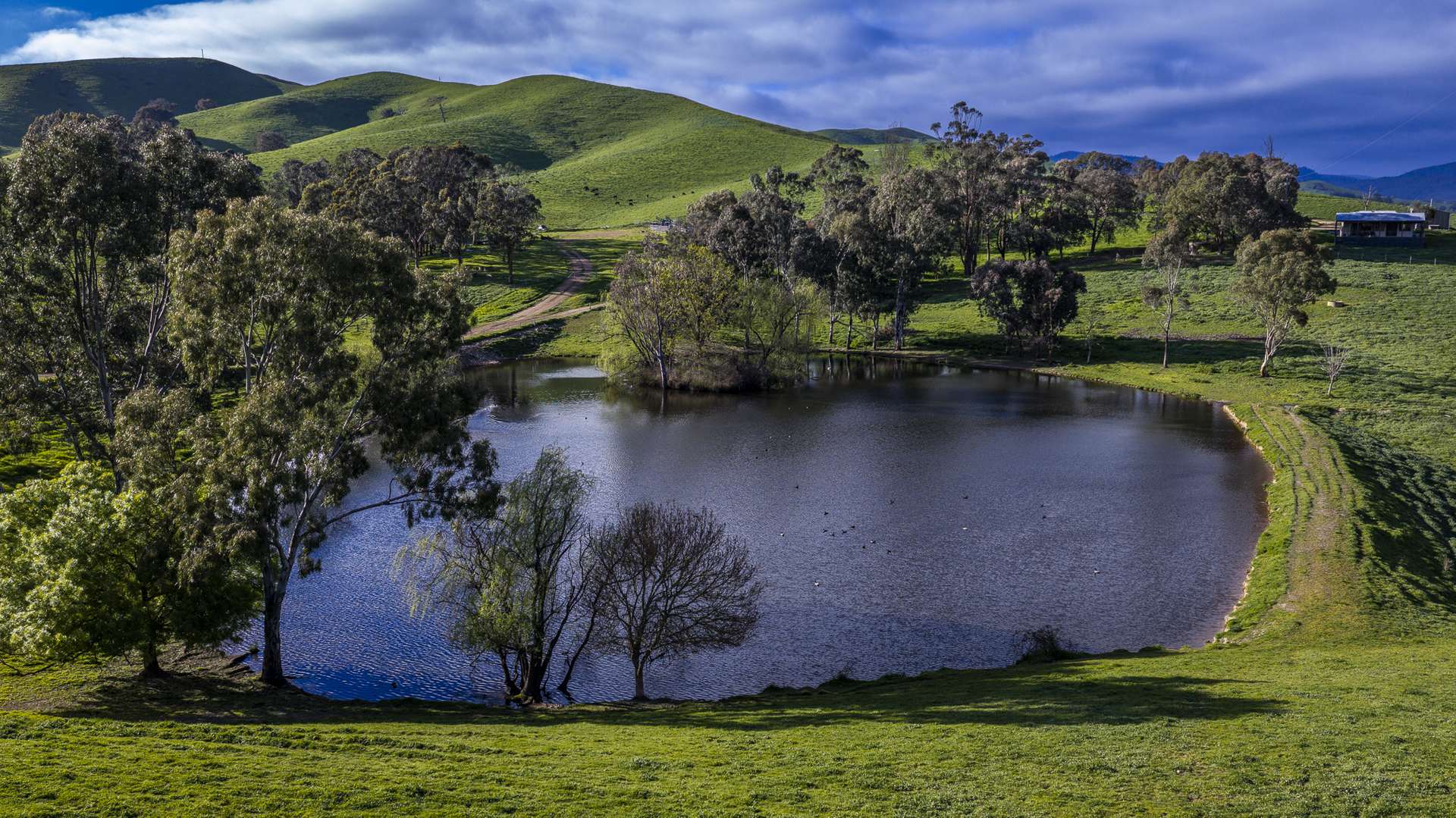 171 Nashs Road, Murrindindi For Sale by Farmbuy.com - image 26