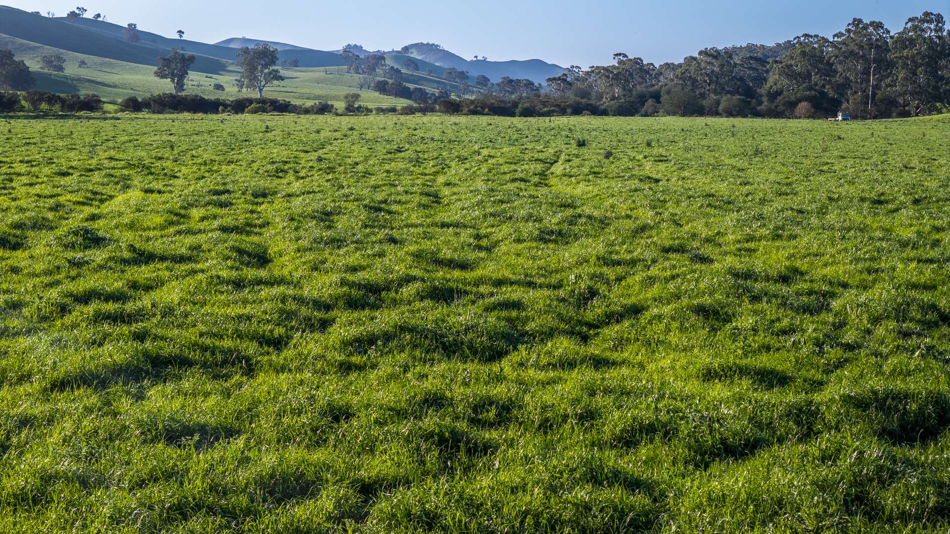 171 Nashs Road, Murrindindi For Sale by Farmbuy.com - image 25