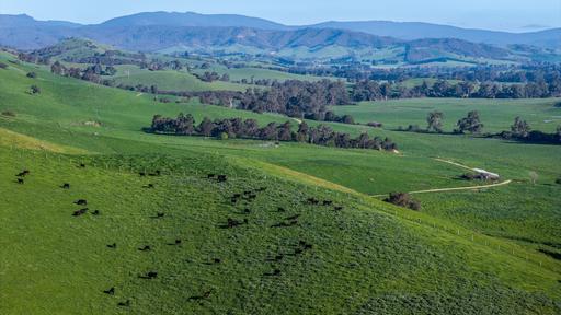 171 Nashs Road, Murrindindi VIC 3717