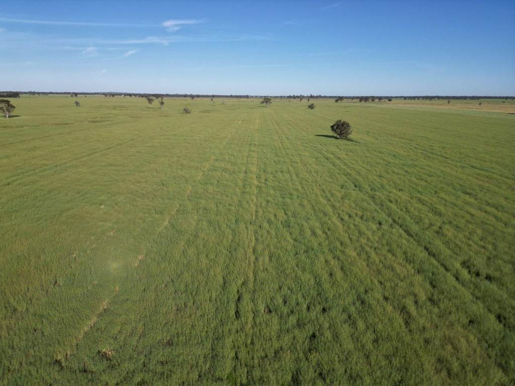 'Yarrandale' Driftway Road, Caragabal NSW 2810