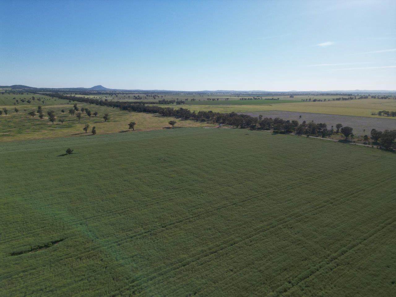 'Yarrandale' Driftway Road, Caragabal For Sale by Farmbuy.com - image 10