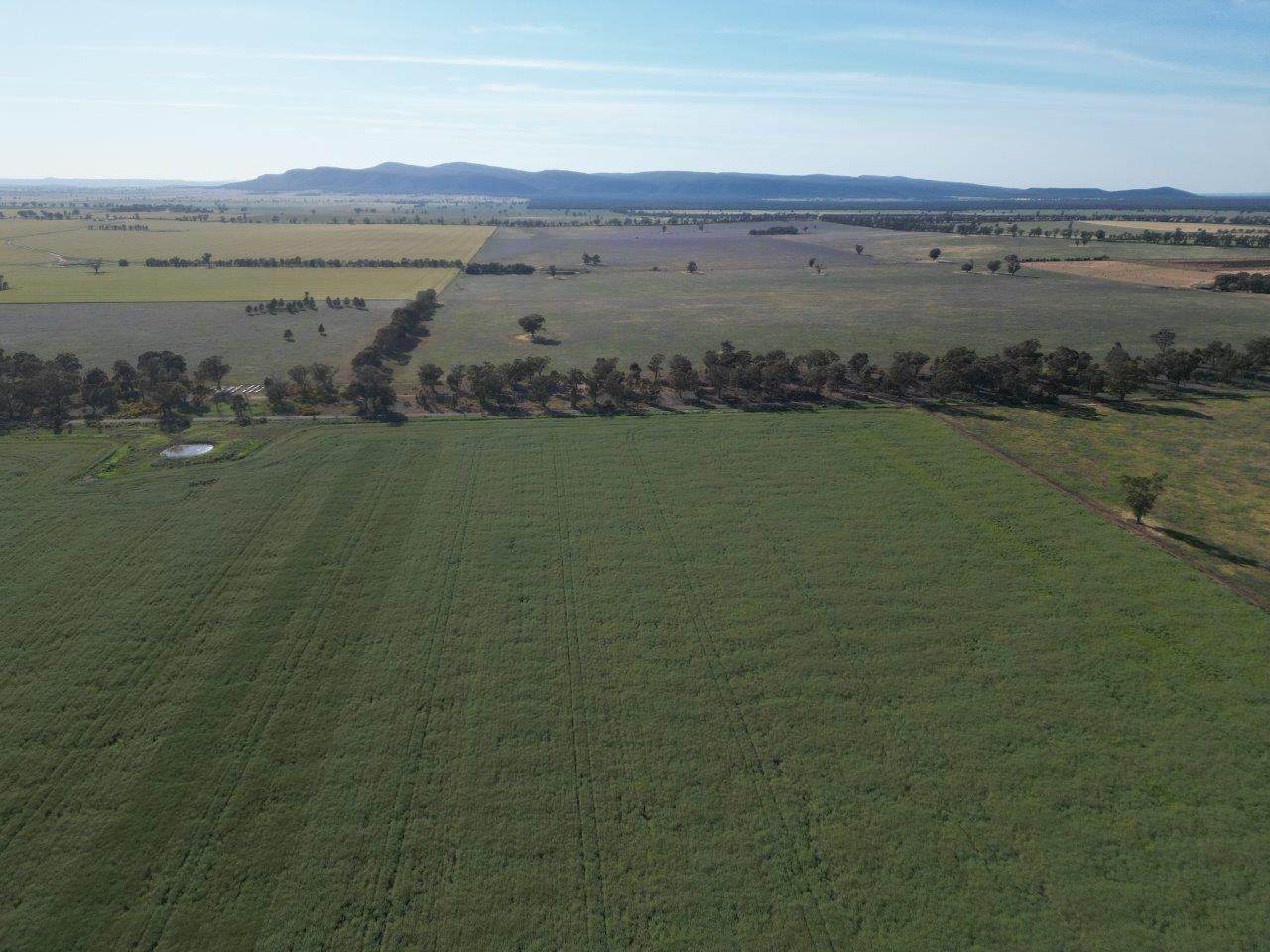 'Yarrandale' Driftway Road, Caragabal For Sale by Farmbuy.com - image 9