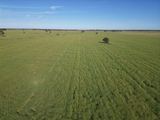 'Yarrandale' Driftway Road, Caragabal For Sale by Miller & James Real Estate