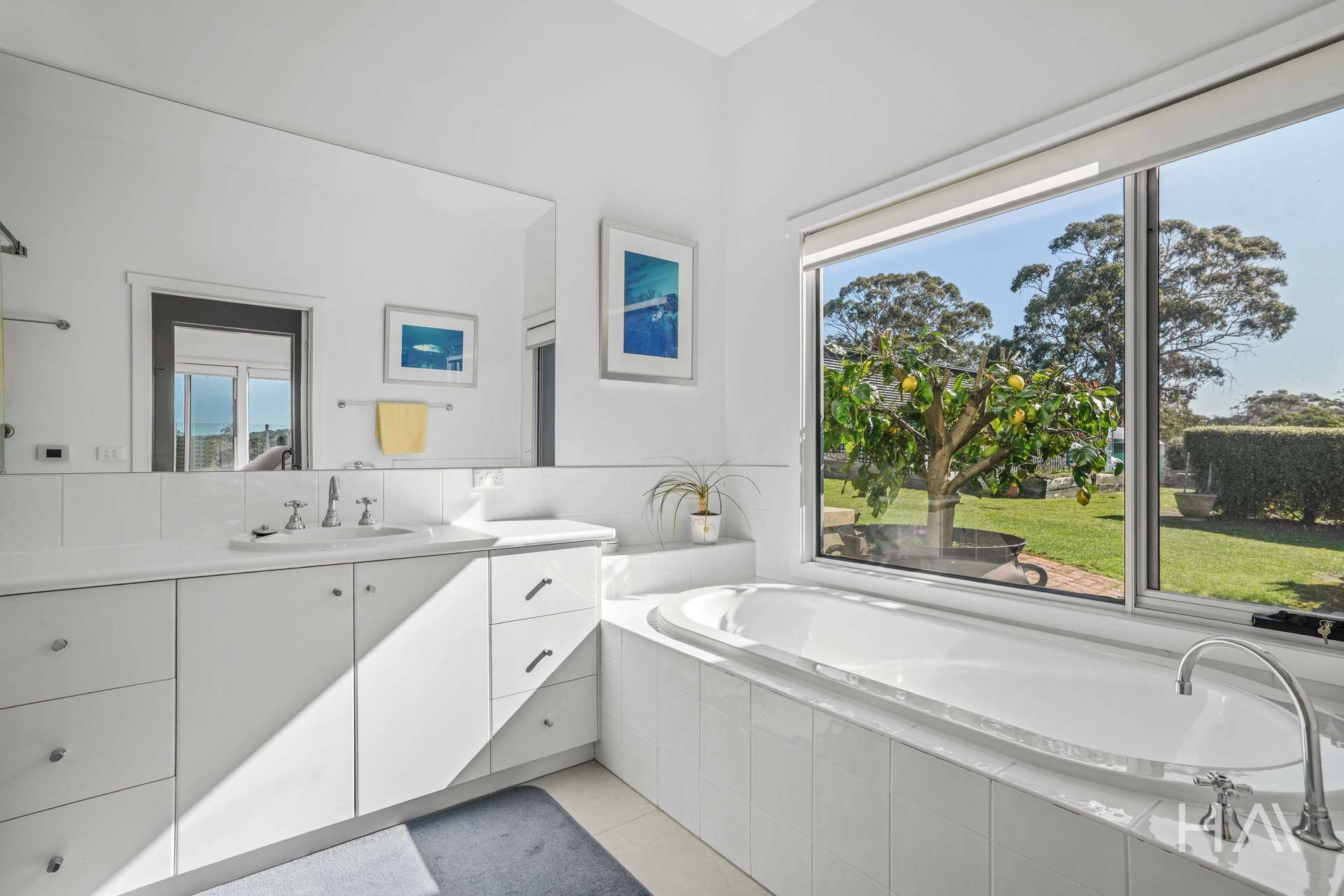 298 Swan River Road, Swansea For Sale by Farmbuy.com - image 12