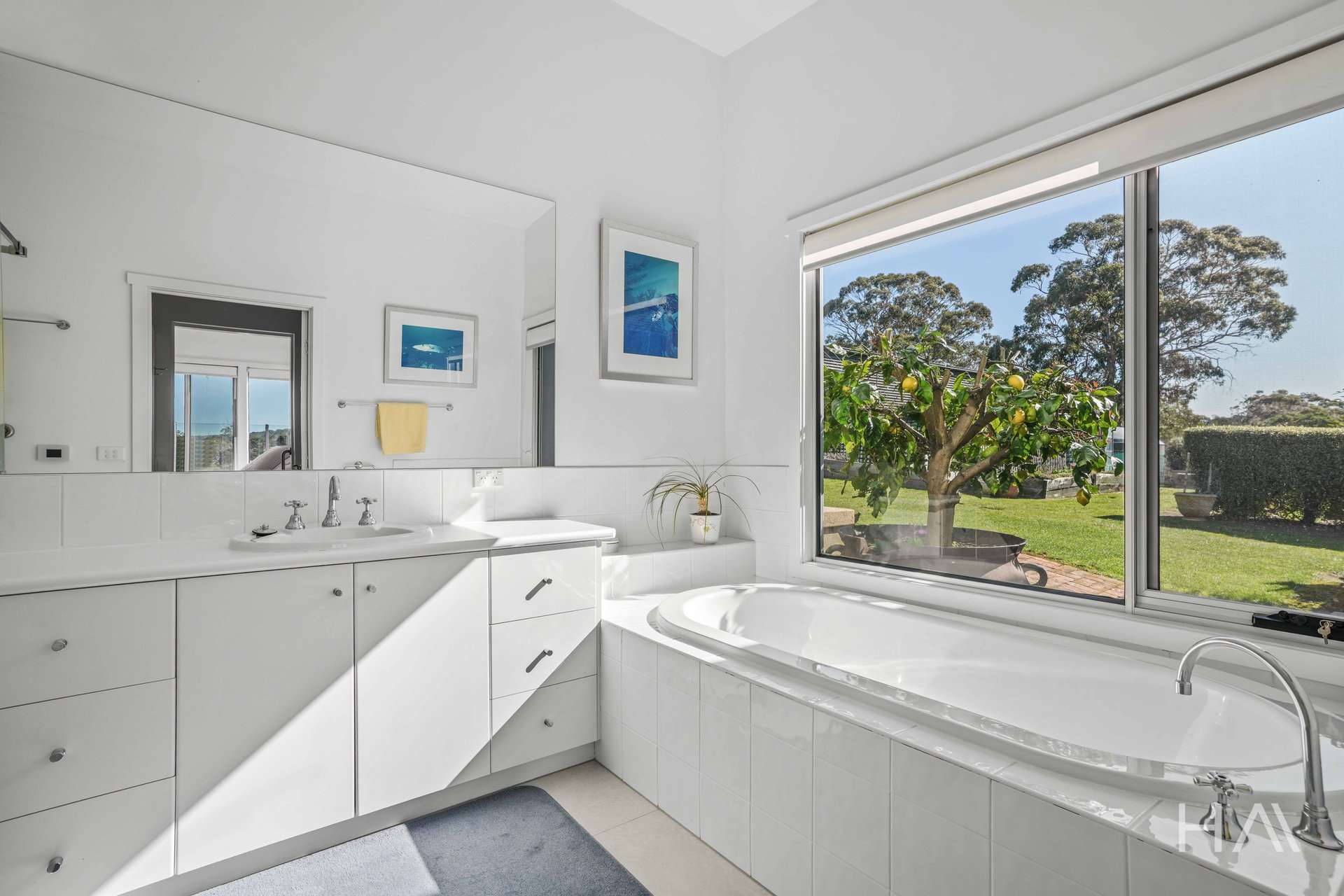 298 Swan River Road, Swansea For Sale by Farmbuy.com - image 12