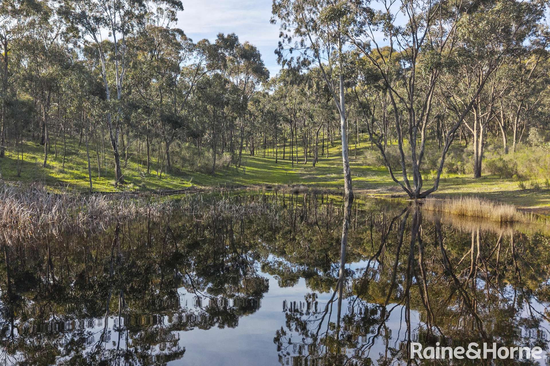 64 Mill Road, Barfold For Sale by Farmbuy.com - image 9