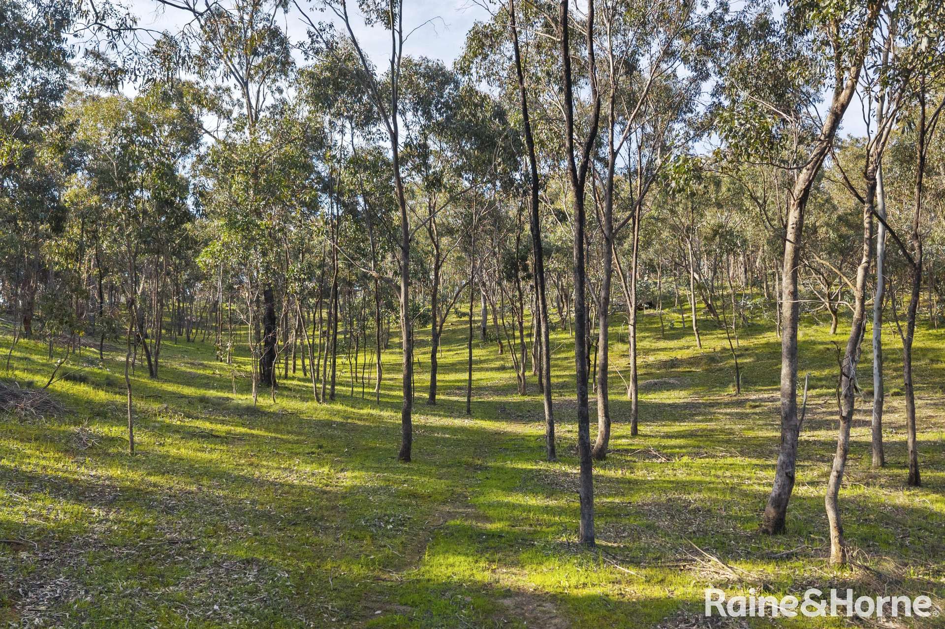64 Mill Road, Barfold For Sale by Farmbuy.com - image 12