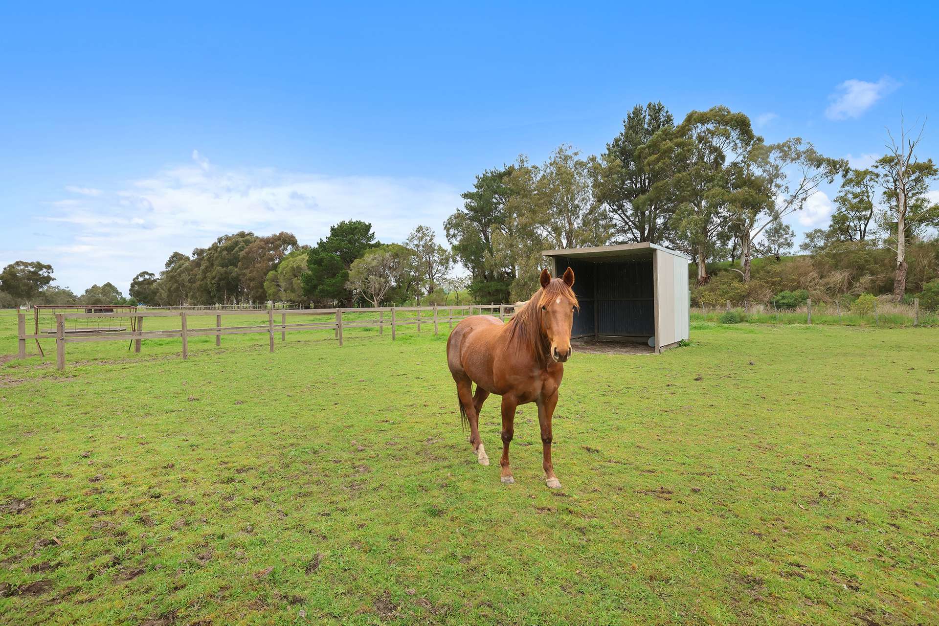 56 Princes Way, Longwarry North For Sale by Farmbuy.com - image 30