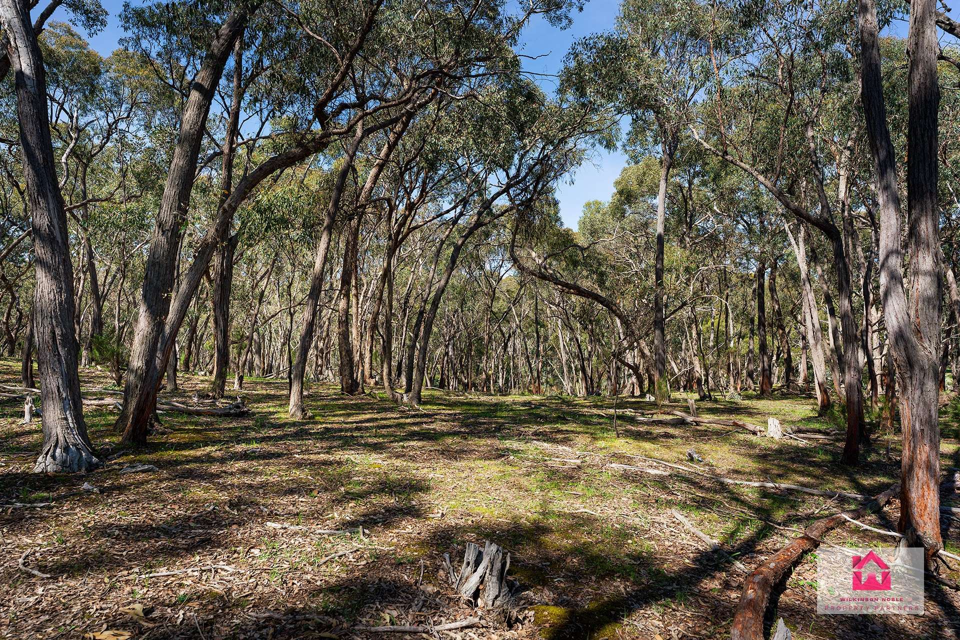 Lot 1 Jeffreys Lane, Harcourt For Sale by Farmbuy.com - image 9