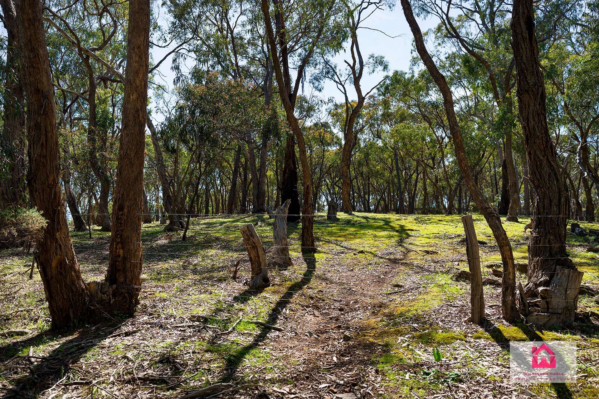 Lot 1 Jeffreys Lane, Harcourt For Sale by Farmbuy.com - image 10