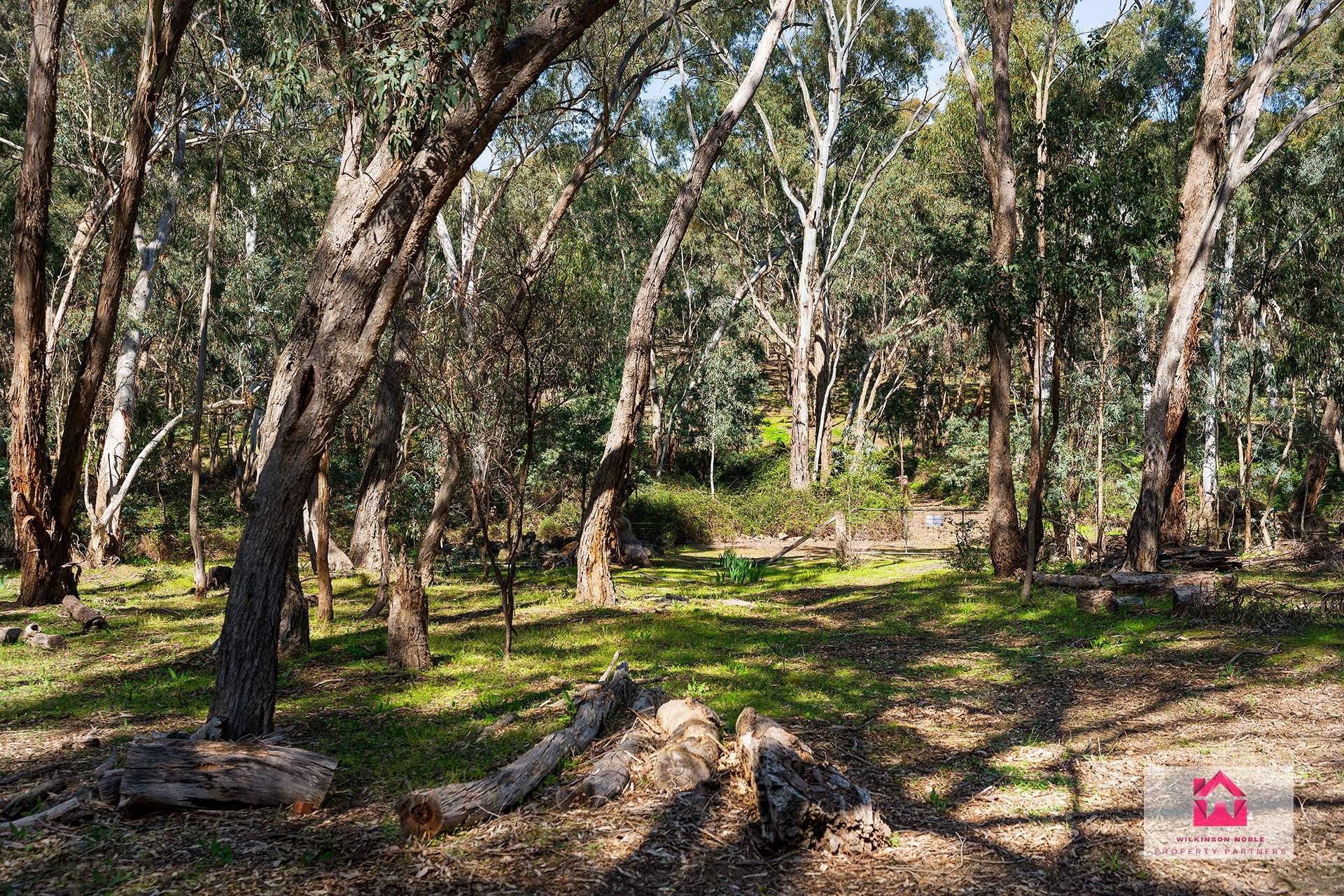 Lot 1 Jeffreys Lane, Harcourt For Sale by Farmbuy.com - image 6