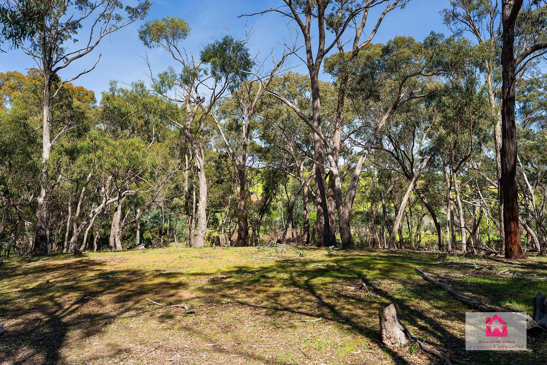 Lot 1 Jeffreys Lane, Harcourt For Sale by Farmbuy.com - image 3