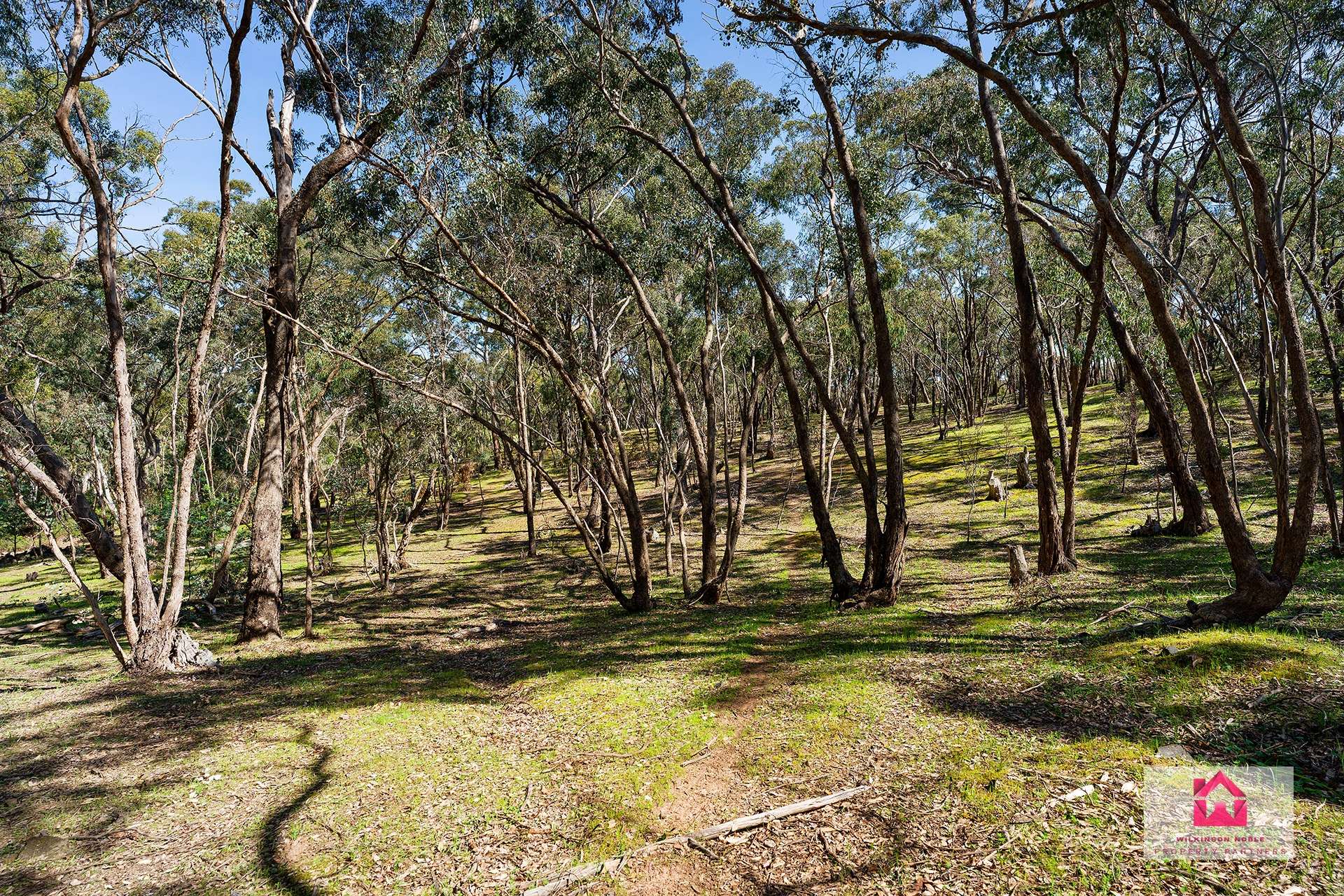 Lot 1 Jeffreys Lane, Harcourt For Sale by Farmbuy.com - image 5