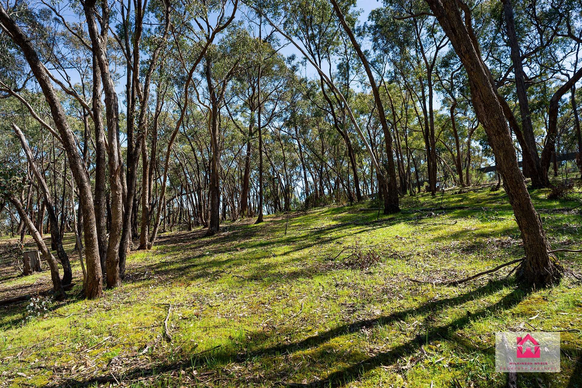 Lot 1 Jeffreys Lane, Harcourt For Sale by Farmbuy.com - image 1