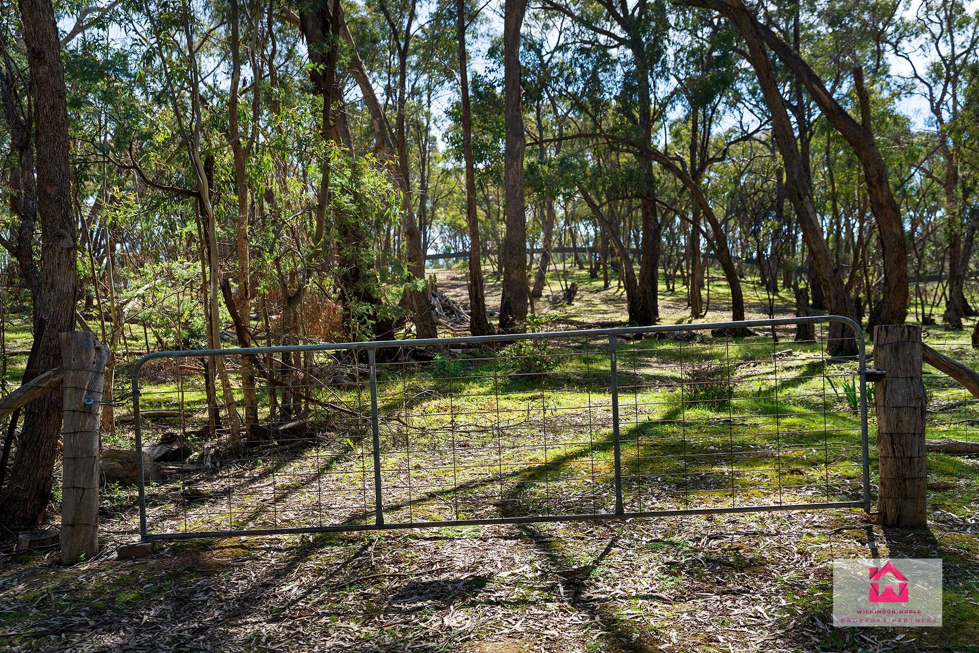 Lot 1 Jeffreys Lane, Harcourt For Sale by Farmbuy.com - image 4