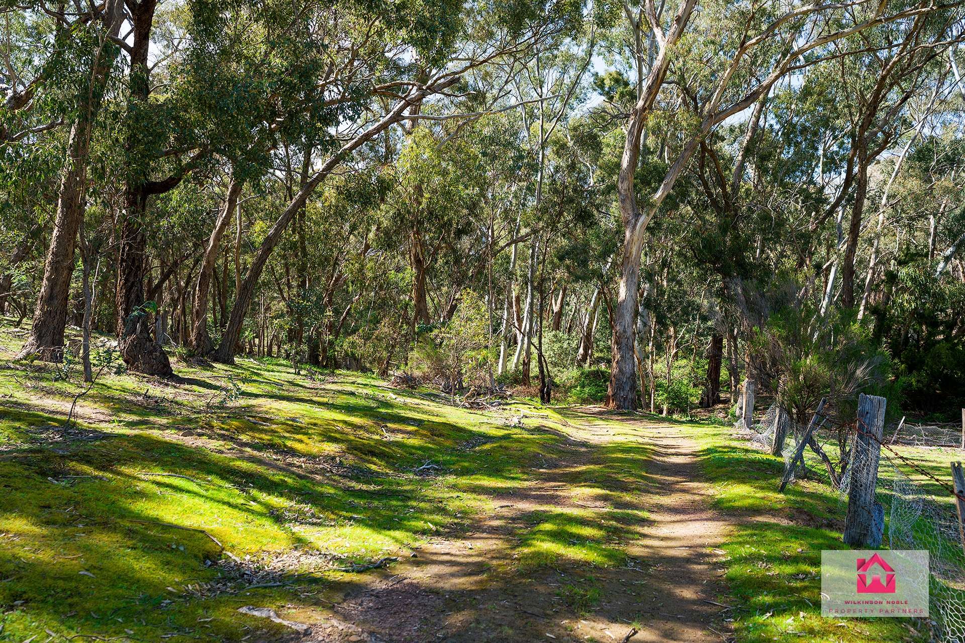 Lot 1 Jeffreys Lane, Harcourt For Sale by Farmbuy.com - image 8